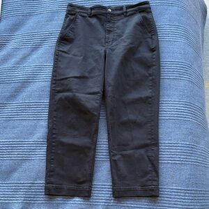 Everlane Straight-Leg Crop Black Pants (14)